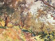 John Singer Sargent Trees on the Hillside at Majorca china oil painting artist